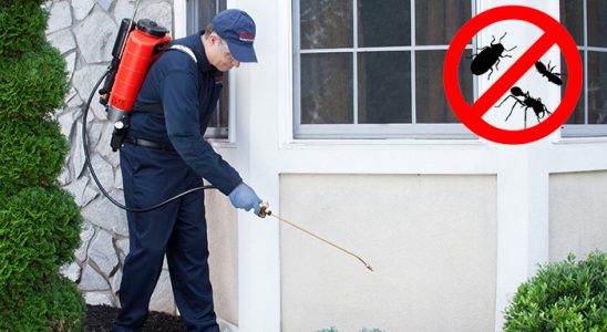 Beyşehir Böcek İlaçlama böcek ilaçlama ve haşere kontrolü — ilaclama-tr.com
